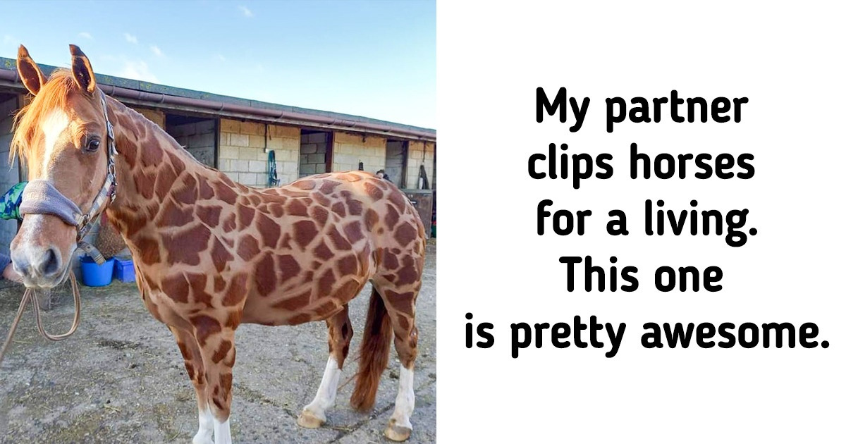 16 Times People Were Lucky Enough to Capture Something Unique
