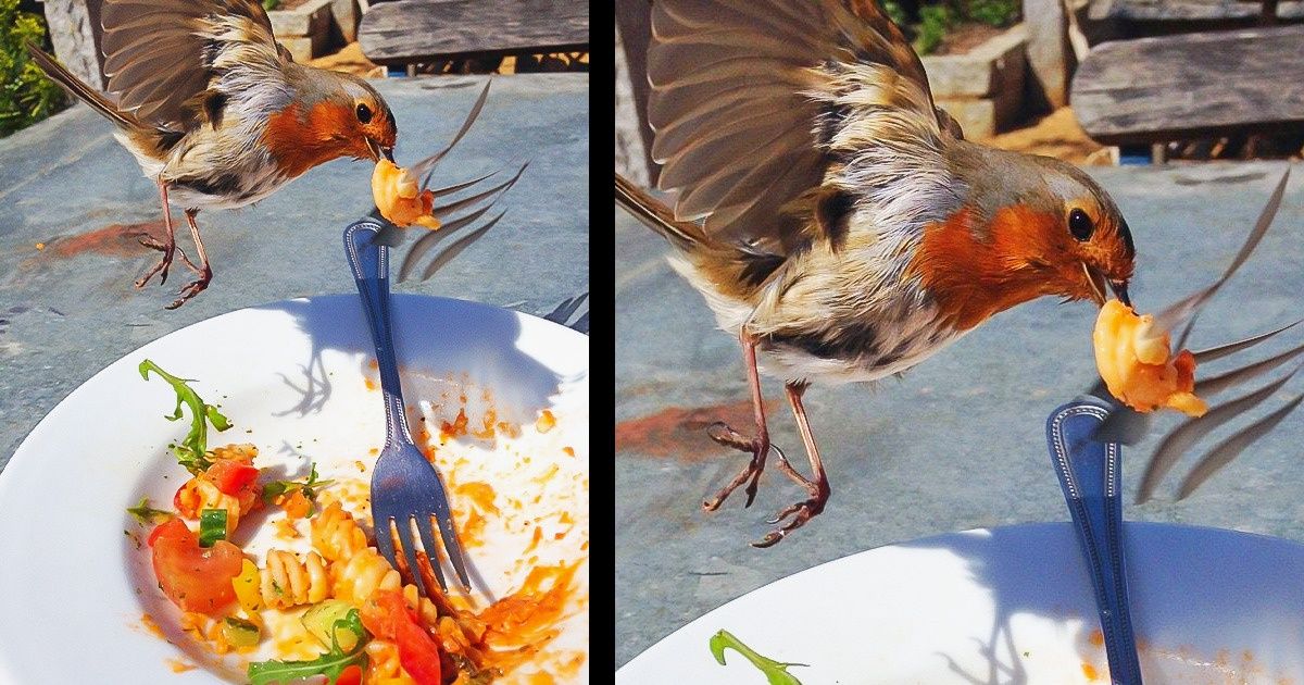 20 People Who Had Their Camera at the Right Place at the Right Time