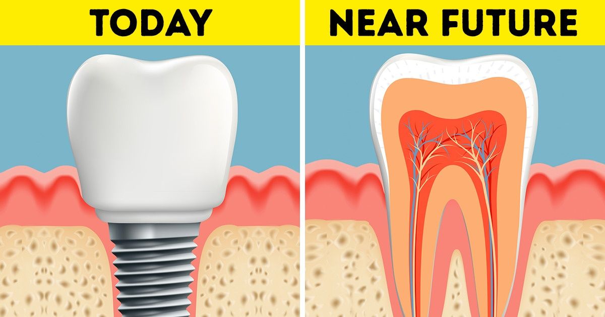 Tooth Regrowth