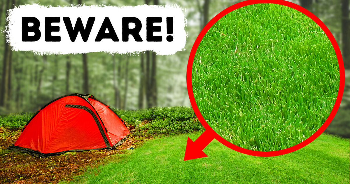 If You See an Open Space in a Forest, Get Away Fast!