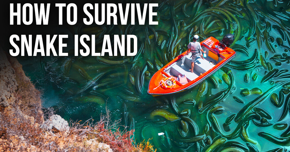 Nobody Comes to This Brazilian Island, Here’s Why