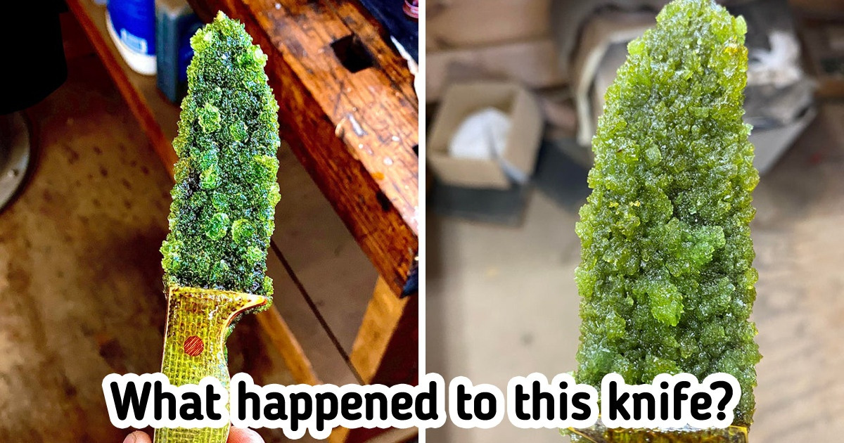 15 Images That Leave Us Intrigued to Know the Story Behind