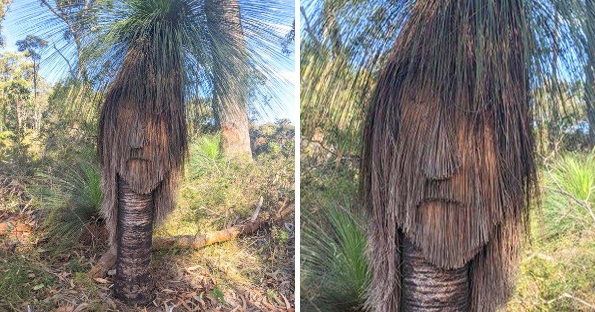 Internet Users Showed Us 20 Faces in the Most Unexpected Objects, and Now We Can’t Unsee Them