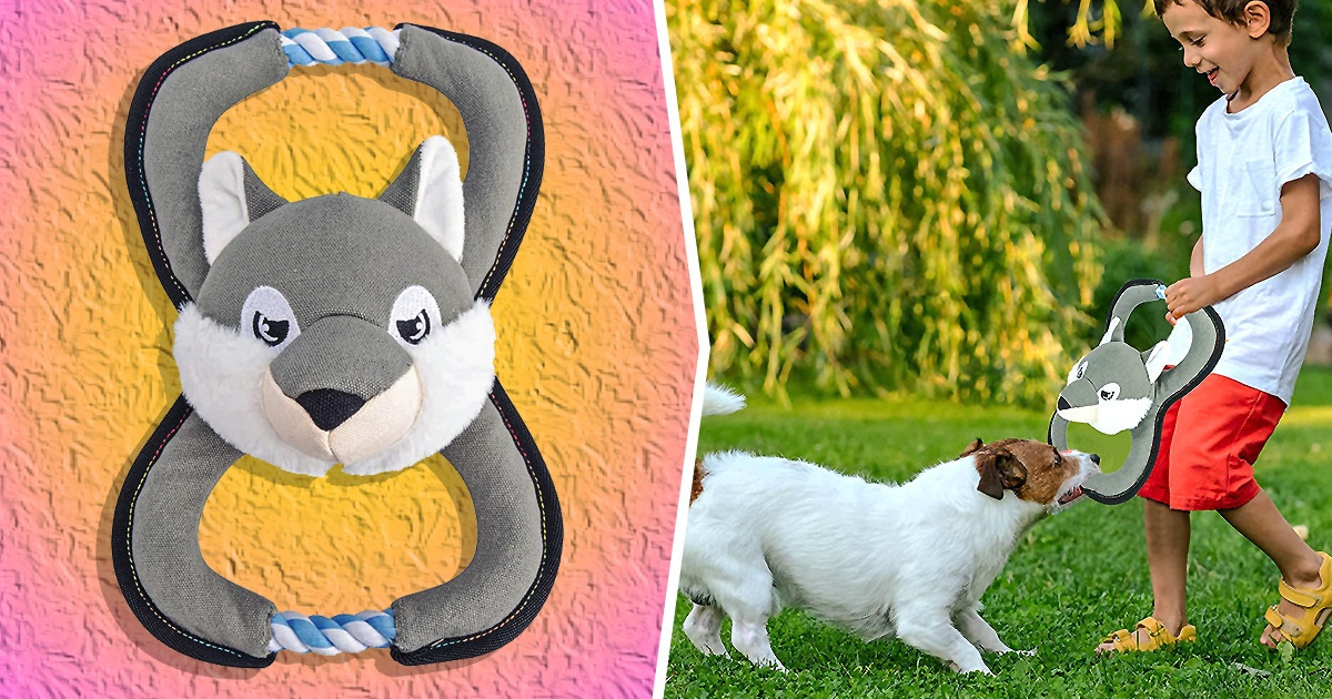 15 New Releases on Amazon That Will Make Your Pet Jump for Joy