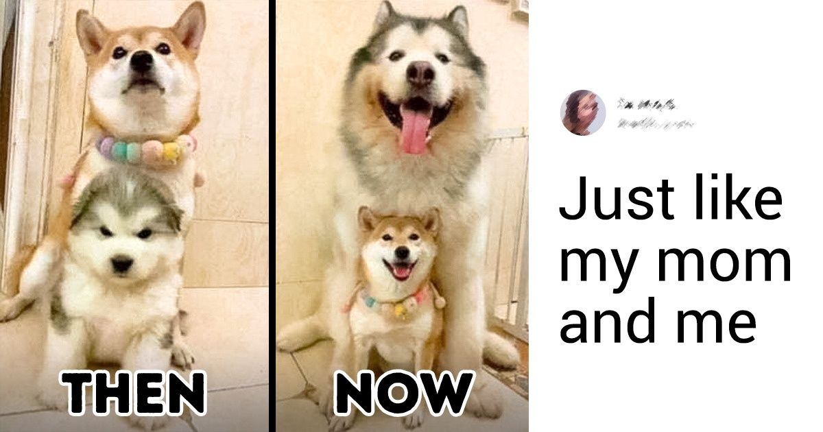 20 Pics That Show Us How Time Can Change Anything but True Love 20 Pics That Show Us How Time Can Change Anything but True Love