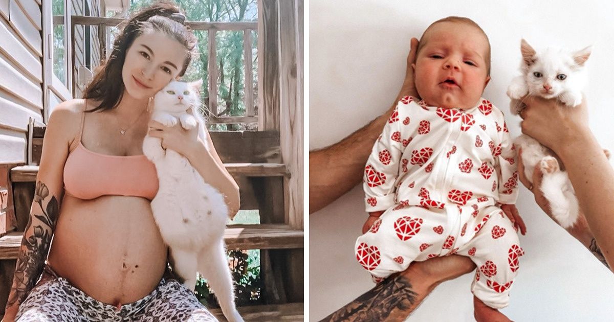 A Mom-To-Be Rescued a Stray Cat, and It Turned Out They Were Both Pregnant A Mom-To-Be Rescued a Stray Cat, and It Turned Out They Were Both Pregnant