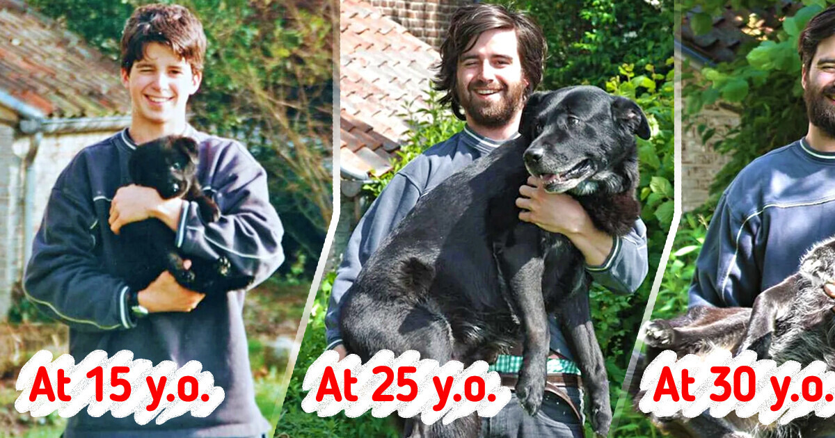 20+ Heartwarming Moments When Pets Stole the Spotlight and Our Hearts 20+ Heartwarming Moments When Pets Stole the Spotlight and Our Hearts