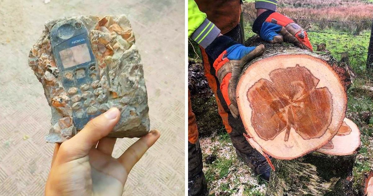 29 Unexpected Finds That Raise a Million Questions