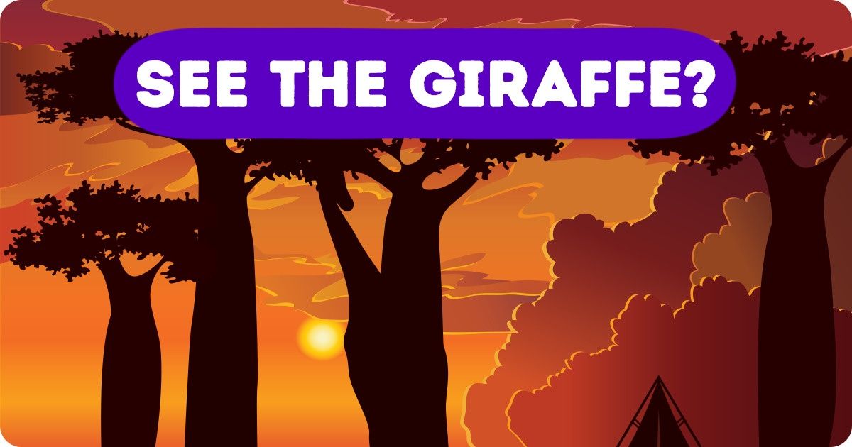 Test: Check Your Visual Skills by Looking for Hidden Animals in These 15 Images