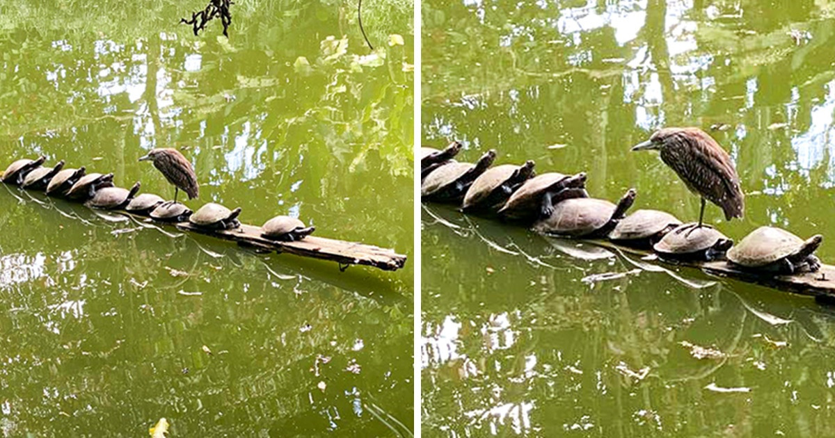 15 People Whose Ordinary Day Turned Into a Nice Adventure