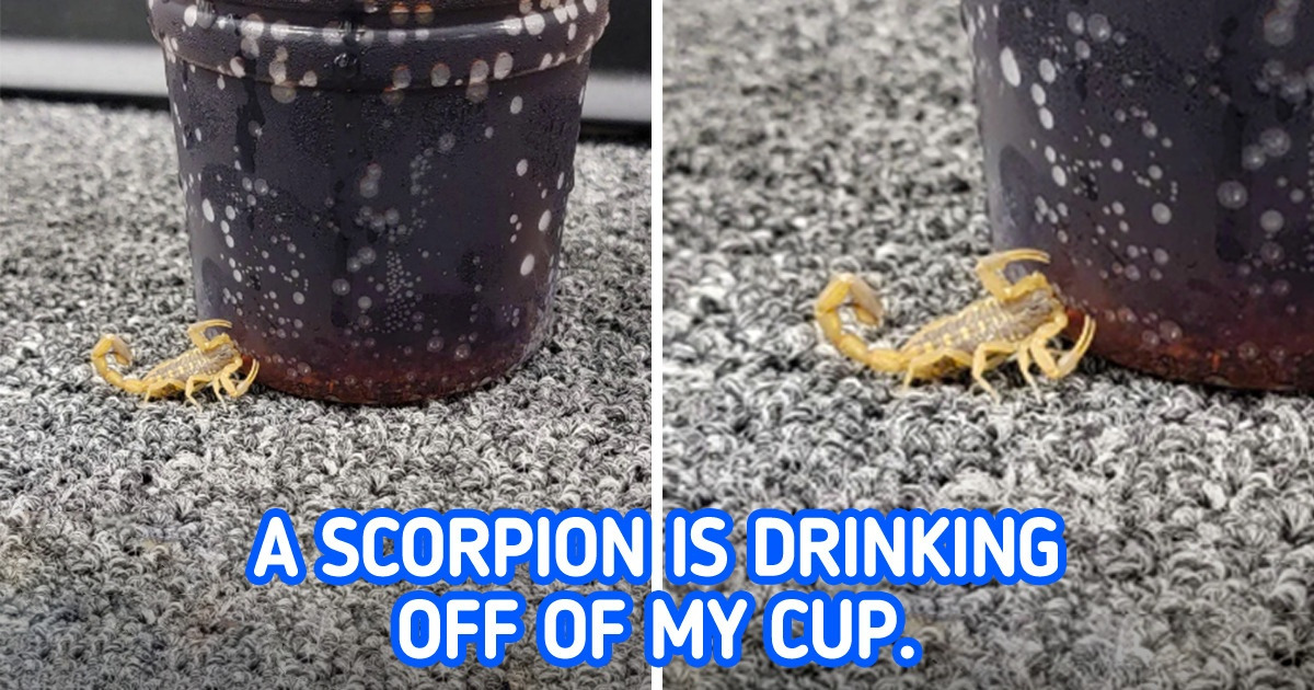 19 People Took Pictures of Weird Situations That Made Our Jaws Drop 19 People Took Pictures of Weird Situations That Made Our Jaws Drop
