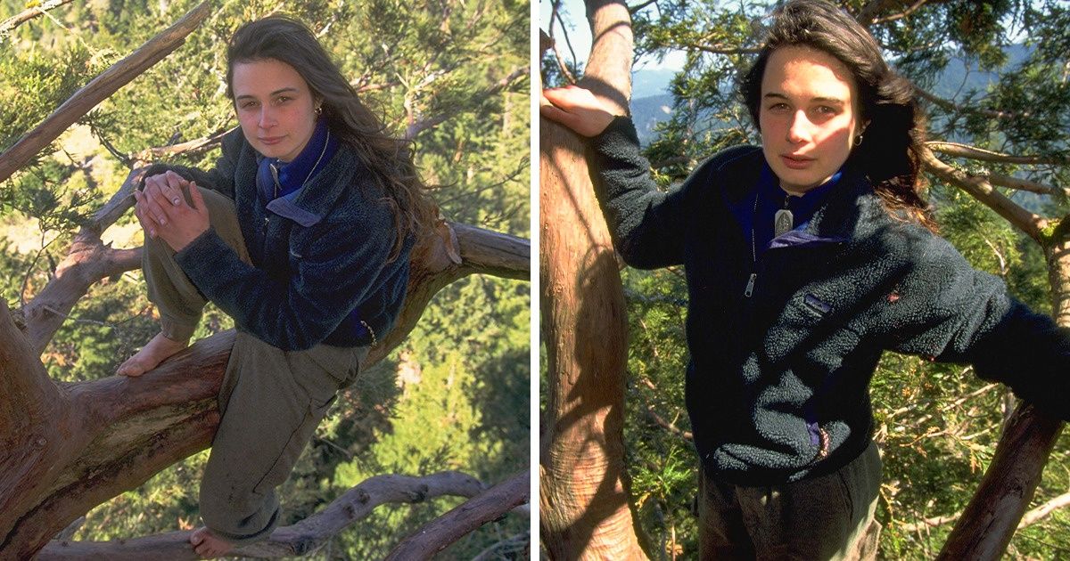 A Woman Saved an Ancient Tree by Living in It for 2 Years, and It Changed the World for the Better