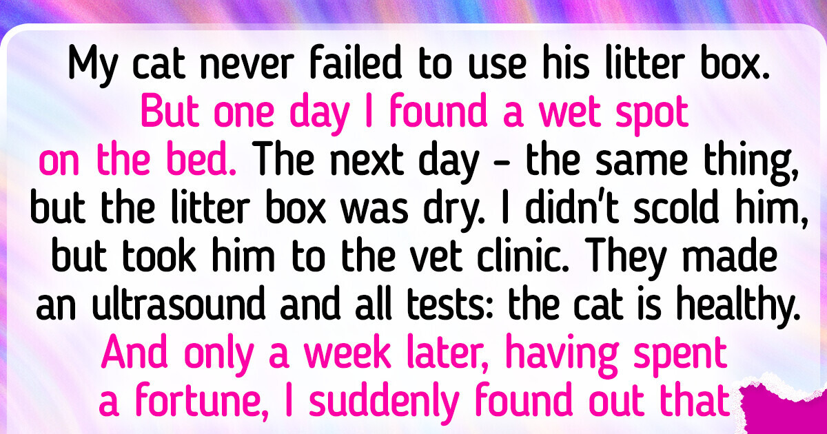 16 Curious Stories From Pet Owners Who Found a Source of Constant Fun 16 Curious Stories From Pet Owners Who Found a Source of Constant Fun