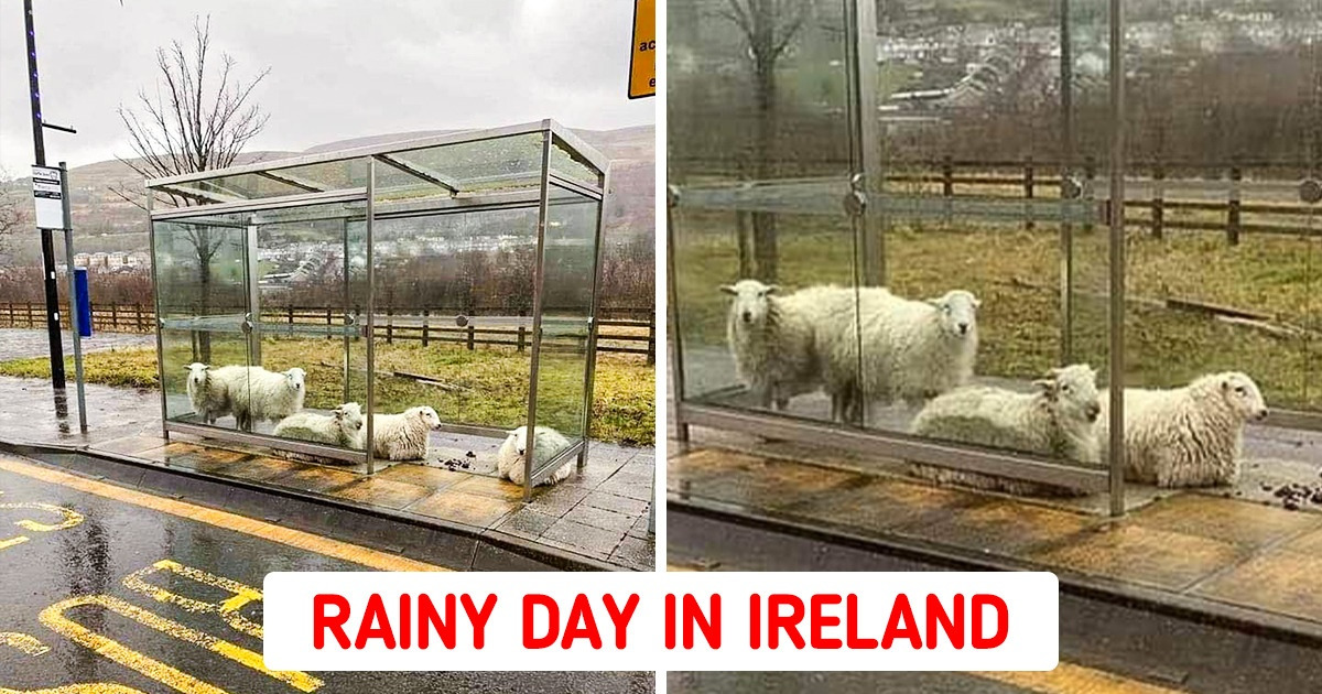 15 Pics That Seem Like They Were Taken in Another Universe