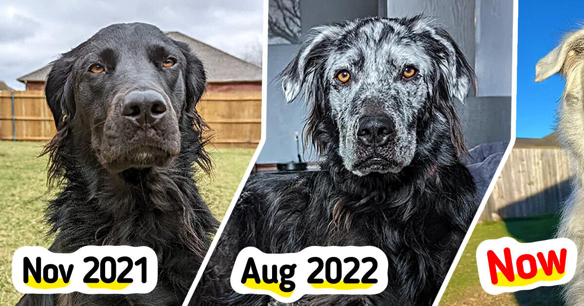 Meet Buster, a One-of-a-Kind Dog Who Reminds Us That Beauty Comes in Many Forms Meet Buster, a One-of-a-Kind Dog Who Reminds Us That Beauty Comes in Many Forms