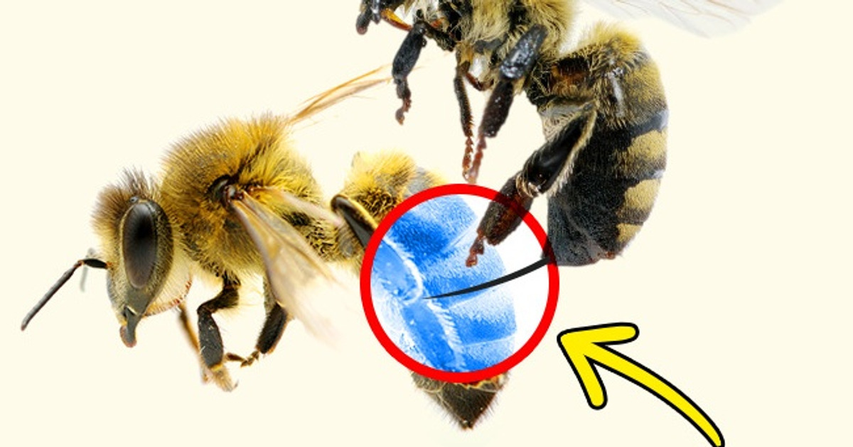11 Ridiculous Facts That Turned Out to Be True 11 Ridiculous Facts That Turned Out to Be True