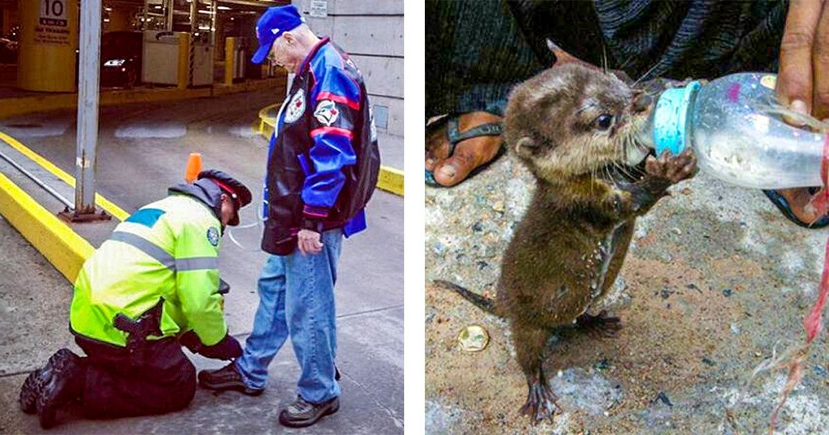 17 Ordinary People Whose Kindness Made This World a Little Brighter 17 Ordinary People Whose Kindness Made This World a Little Brighter