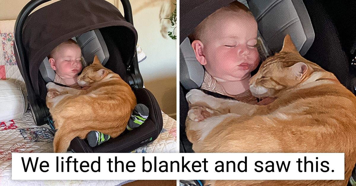 17 Pics That Remind Us the World Is Full of Warmth