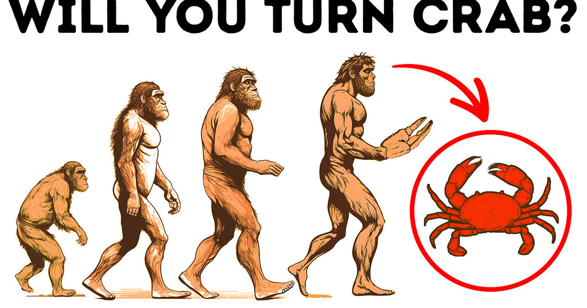 Why Evolution Turns Everything into Crabs Why Evolution Turns Everything into Crabs