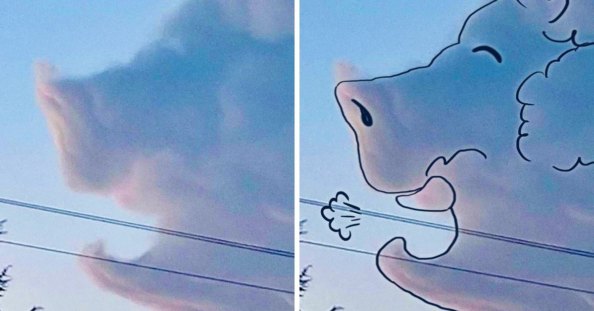 16 Pics Where the Sky Becomes a Stage and the Clouds Are the Leading Actresses