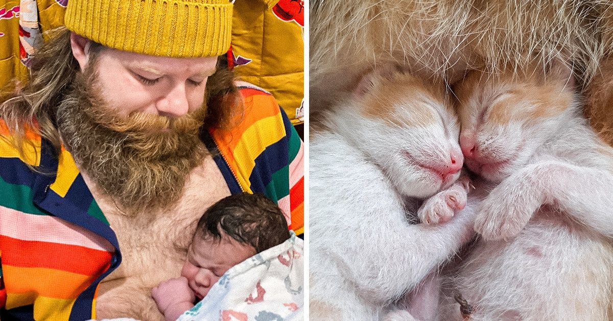 15+ Pics That Translate the Word “Love” in Every Language