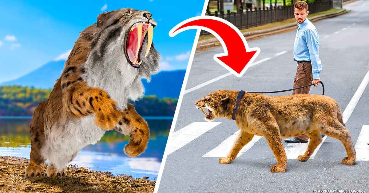 14 “Extinct” Animals You Can Literally Meet Today 14 “Extinct” Animals You Can Literally Meet Today