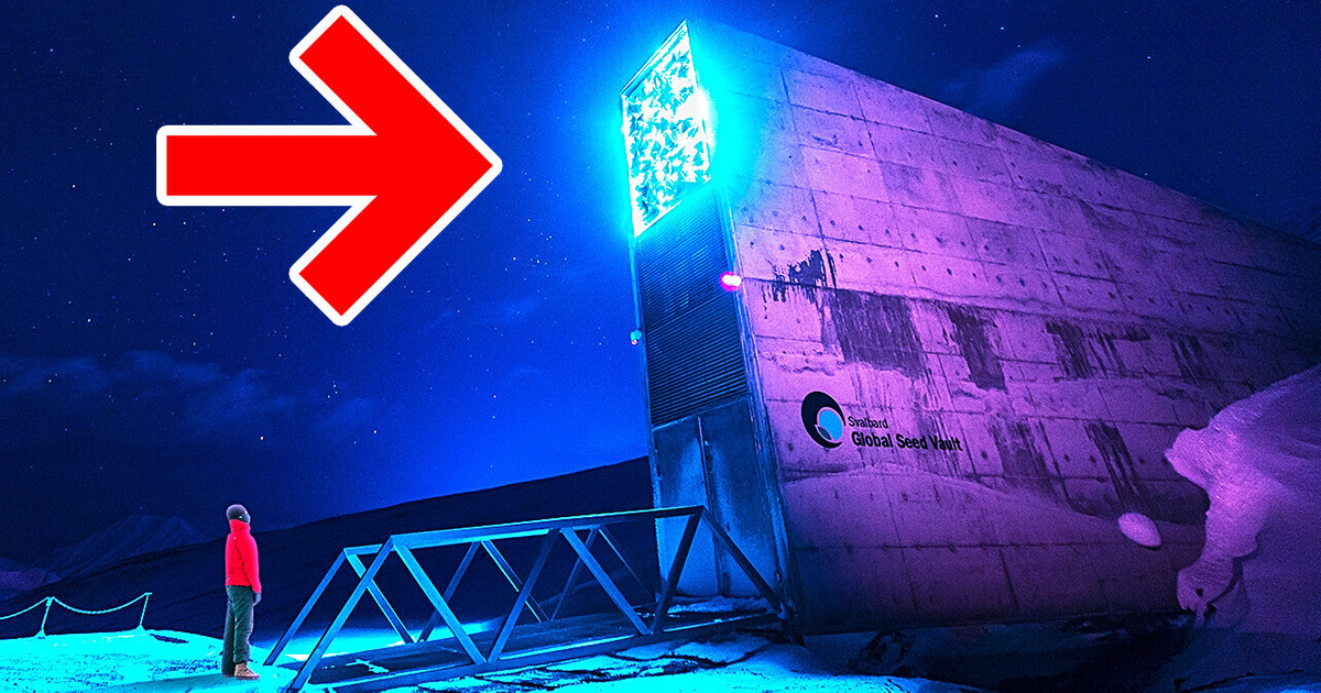 This Place Hides What Could Save the Whole World This Place Hides What Could Save the Whole World