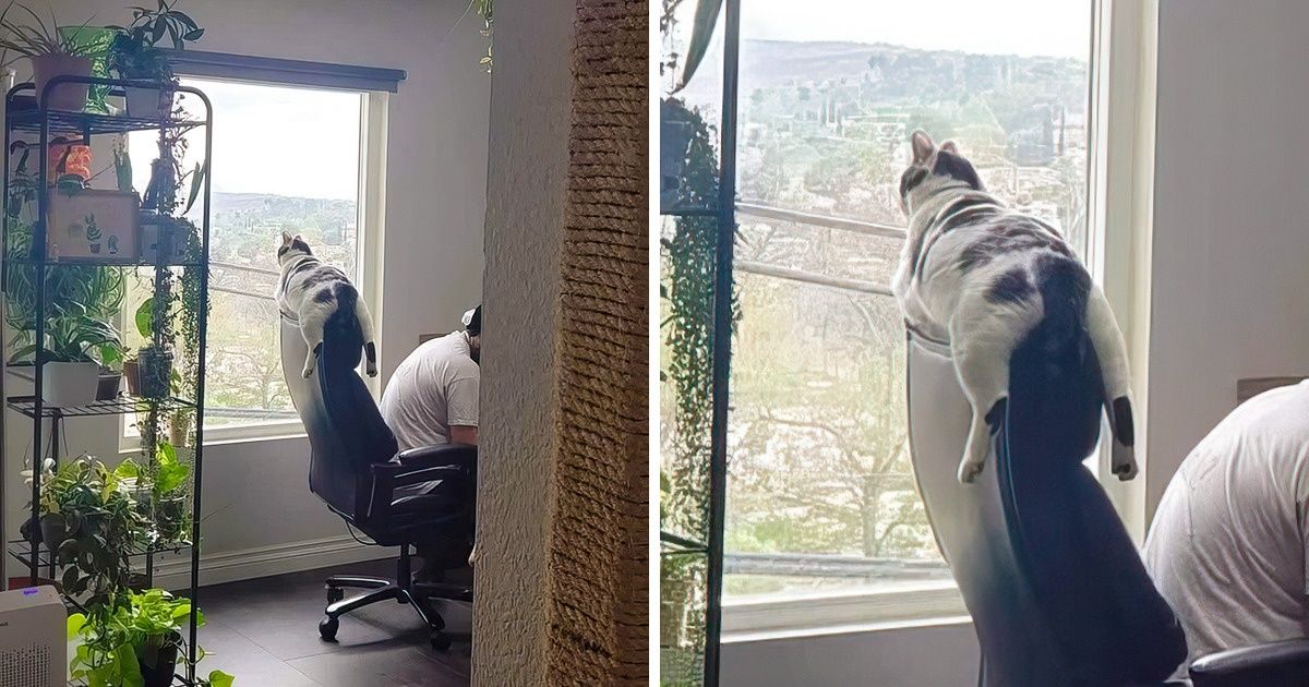 15+ Pics That Might Lift You Up on a Rainy Day