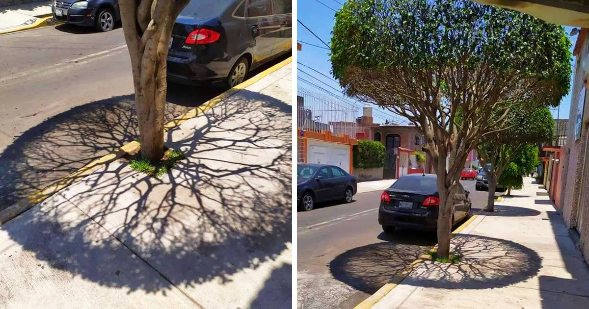 19 Times Mother Nature Gave Us Goosebumps With Her Works of Art