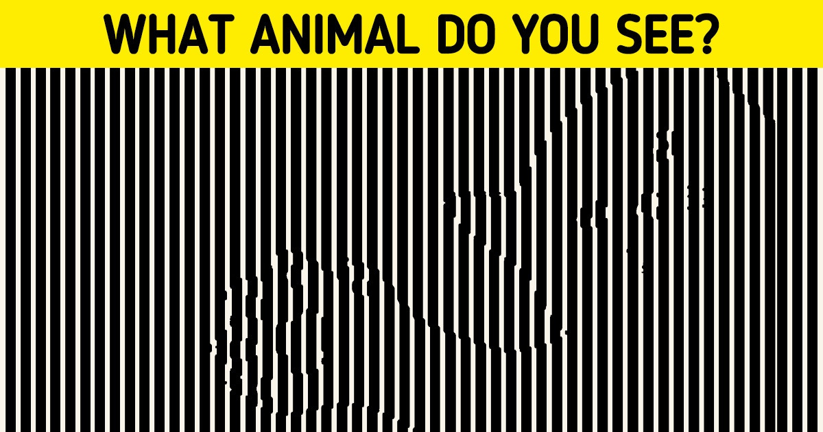10 Visual Riddles That Will Play Tricks With Your Mind