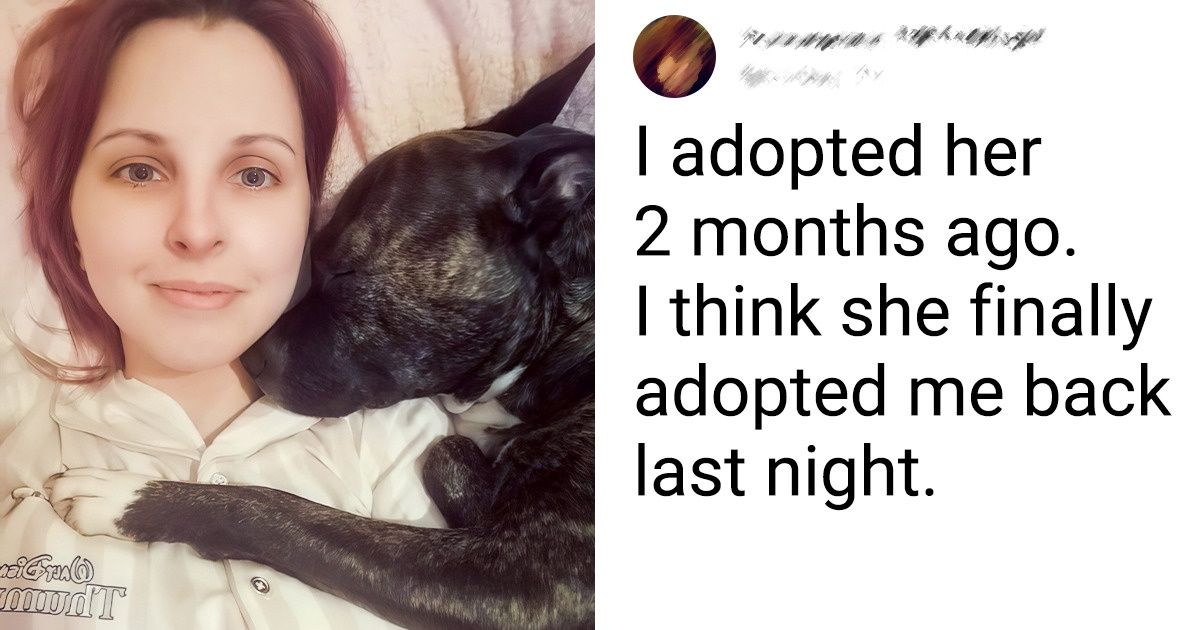 15 Posts of Pure Tenderness That Made Us Melt Right in Front of Our Screens