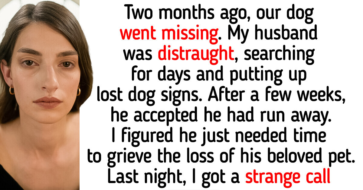 Our Dog Didn’t Run Away — My Husband’s Long-Term Dark Secret Exposed Our Dog Didn’t Run Away — My Husband’s Long-Term Dark Secret Exposed