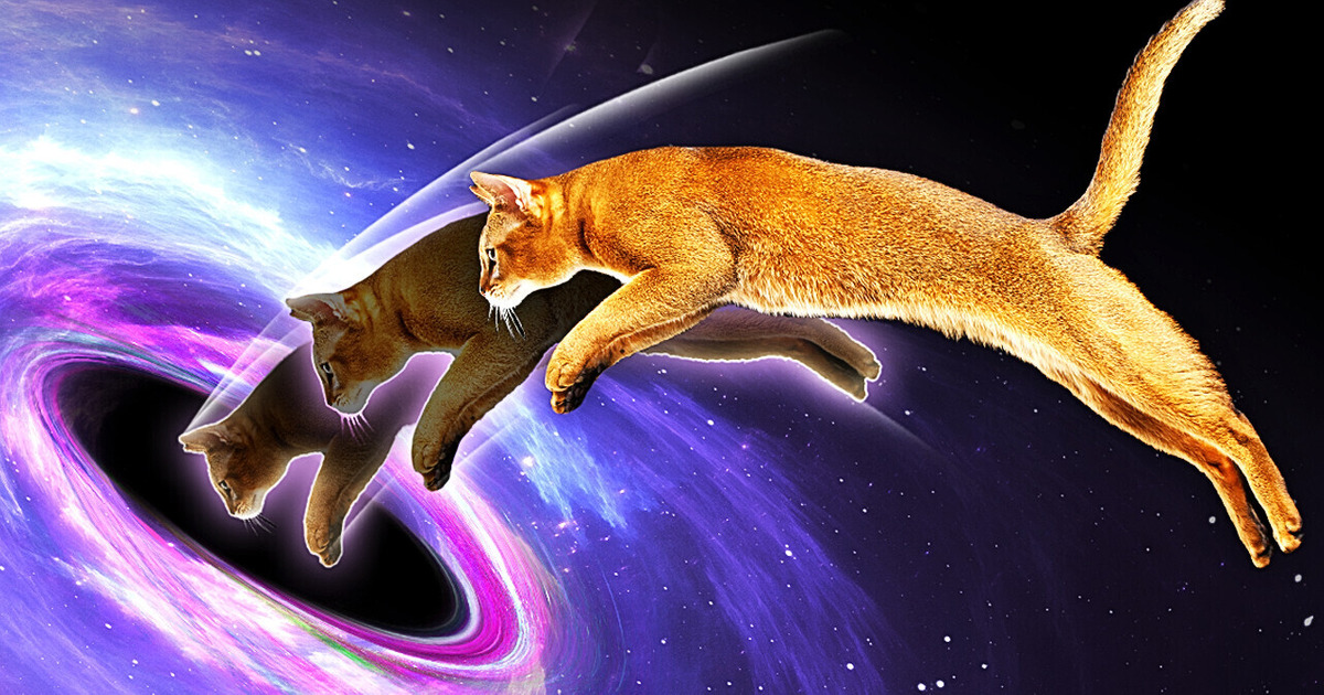 Black Holes Can Be Alive and Not Alive at the Same Time