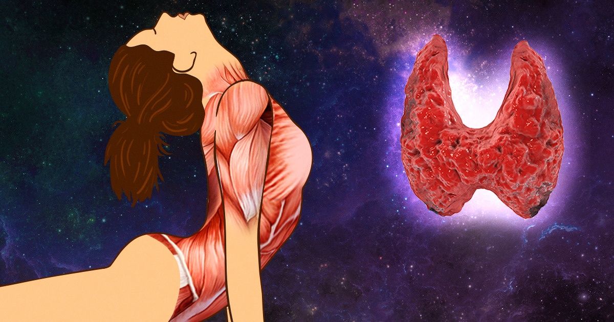 How to Outsmart Hormones That Can Make Us Gain Excess Weight