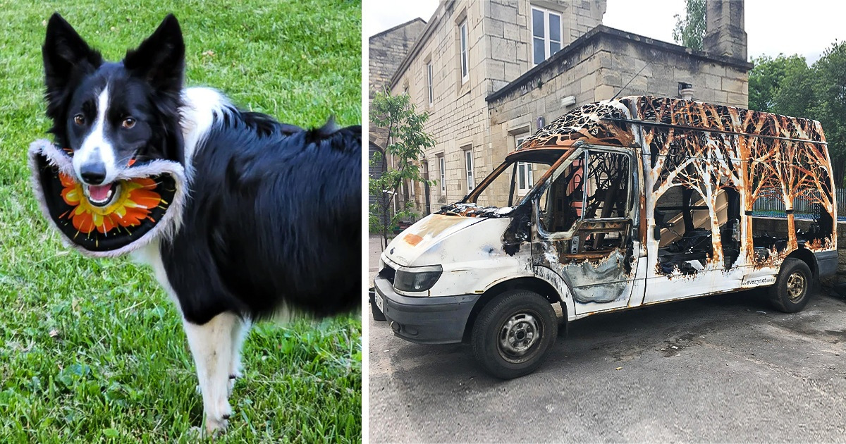 18 Times Reality Baffled Our Brain So Much, a Closer Look Was Necessary