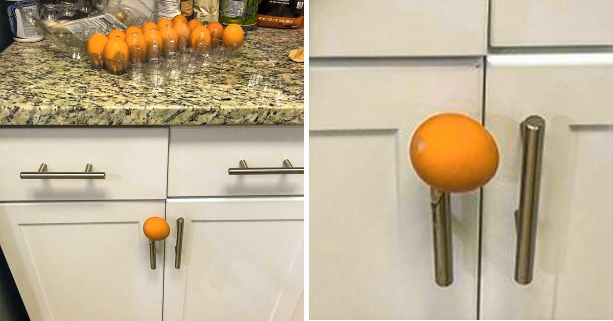 15+ Curious Pictures You’ll Want to Look at Again and Again