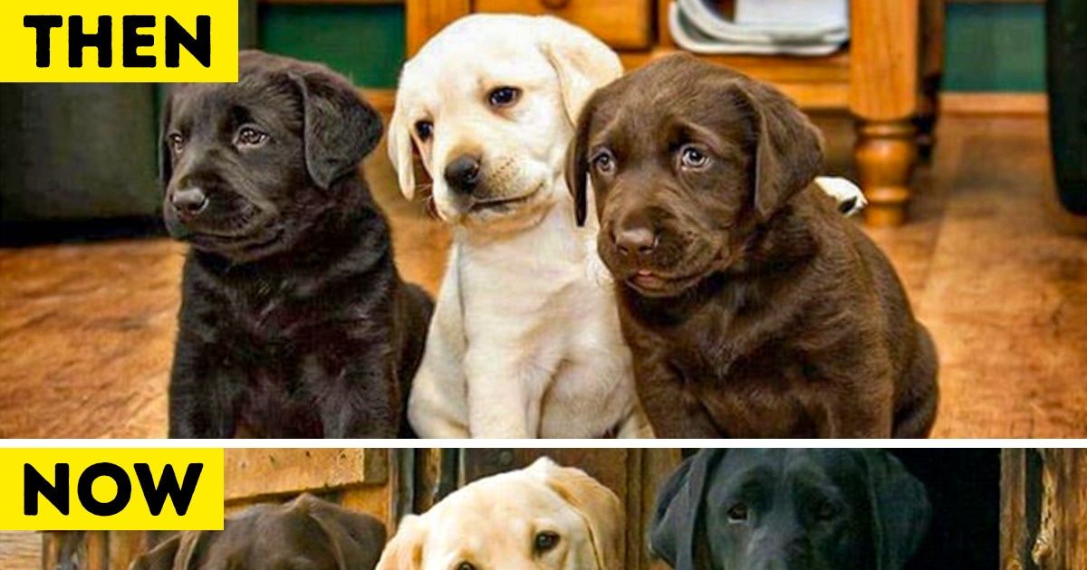 15+ Photos That Show How Sweet Growing Old Together Can Be 15+ Photos That Show How Sweet Growing Old Together Can Be