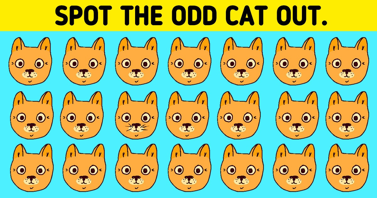 Spot The Odd One in 15 Pictures to Test Your Eagle Eye