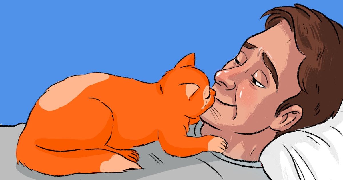 10+ Ways Your Cat Says, “I Love You” 10+ Ways Your Cat Says, “I Love You”