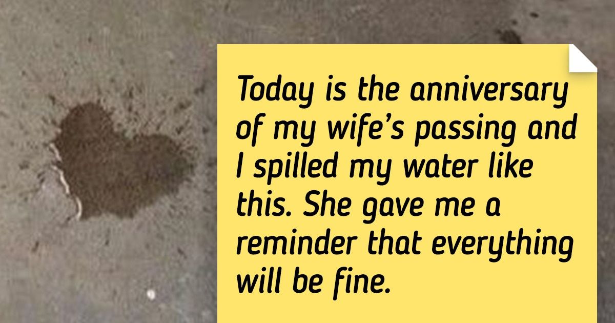 20 Photos That Can Awaken a Sleeping Optimist in All of Us