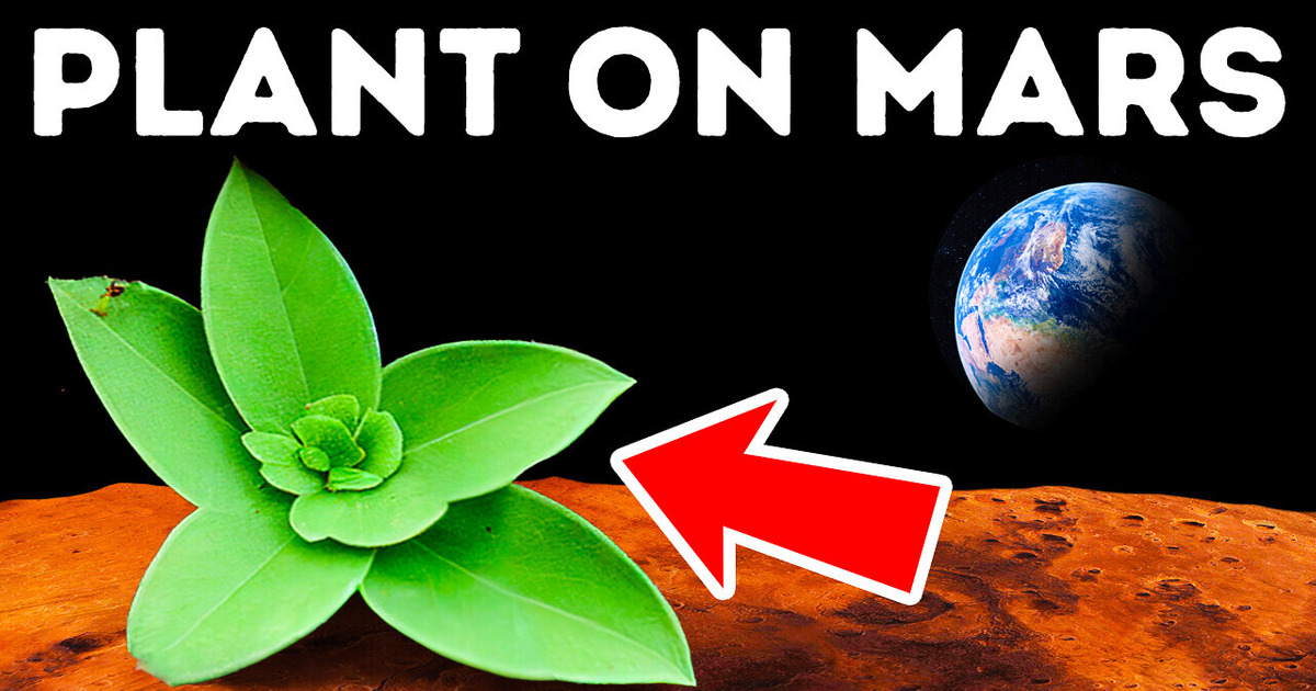 What Would It Take to Make Mars Earth-Like What Would It Take to Make Mars Earth-Like
