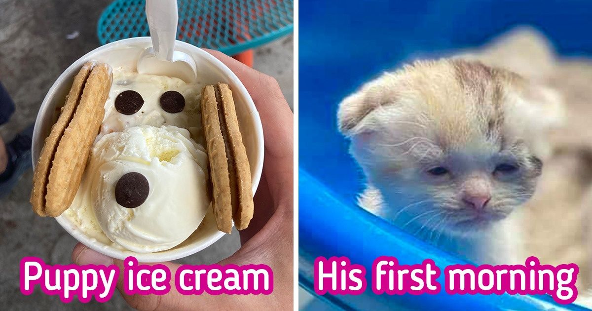 22 Pics That Literally Made Us Squeak With Pleasure 22 Pics That Literally Made Us Squeak With Pleasure