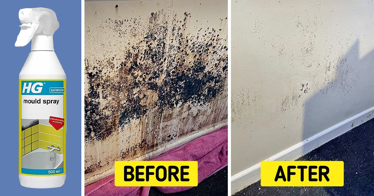 9 Most Wished-For Products on Amazon to Deep Clean a Moldy Home 9 Most Wished-For Products on Amazon to Deep Clean a Moldy Home