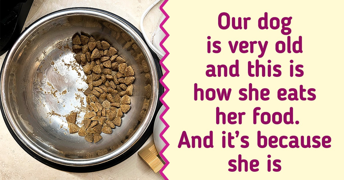 19 Photos That Don’t Seem Special Until You Read the Captions 19 Photos That Don’t Seem Special Until You Read the Captions