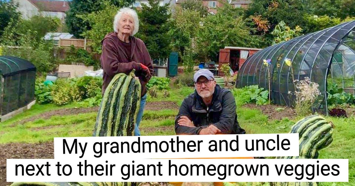 20+ Things We Had No Idea Could Be So Huge