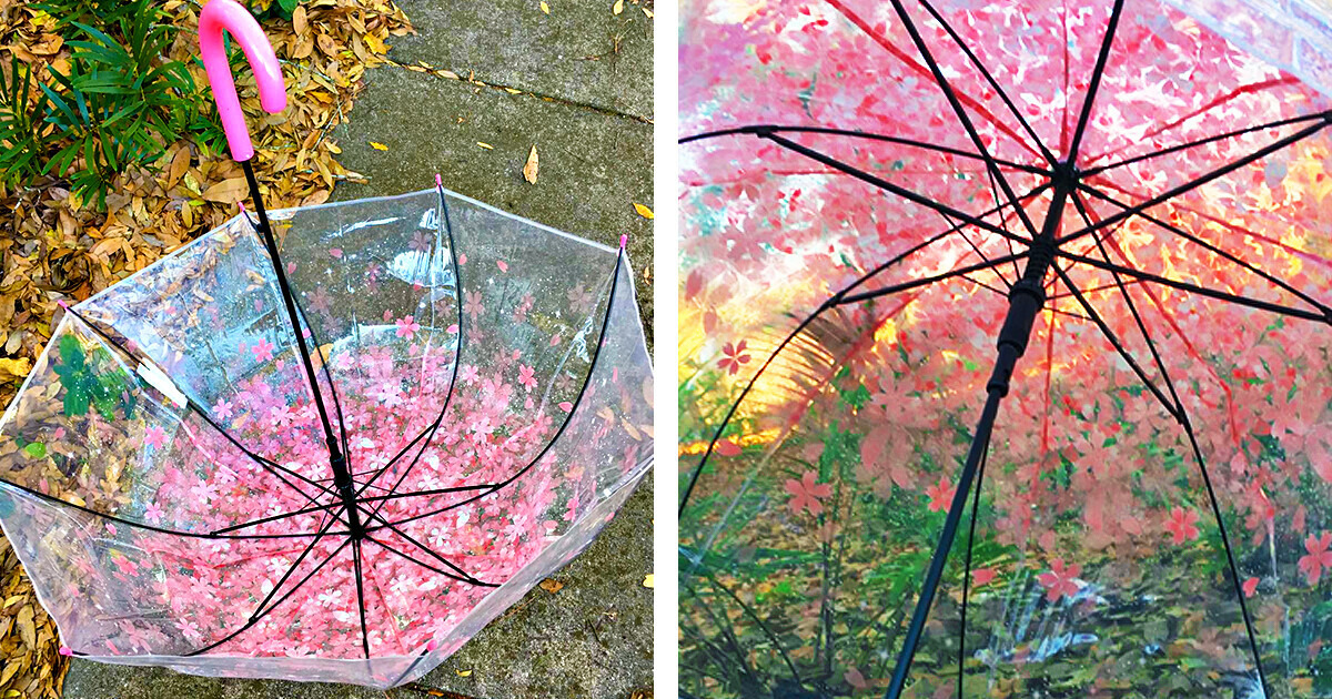 Get Ready for All the Adventures of the Coming Fall With These 30 Amazon Gems