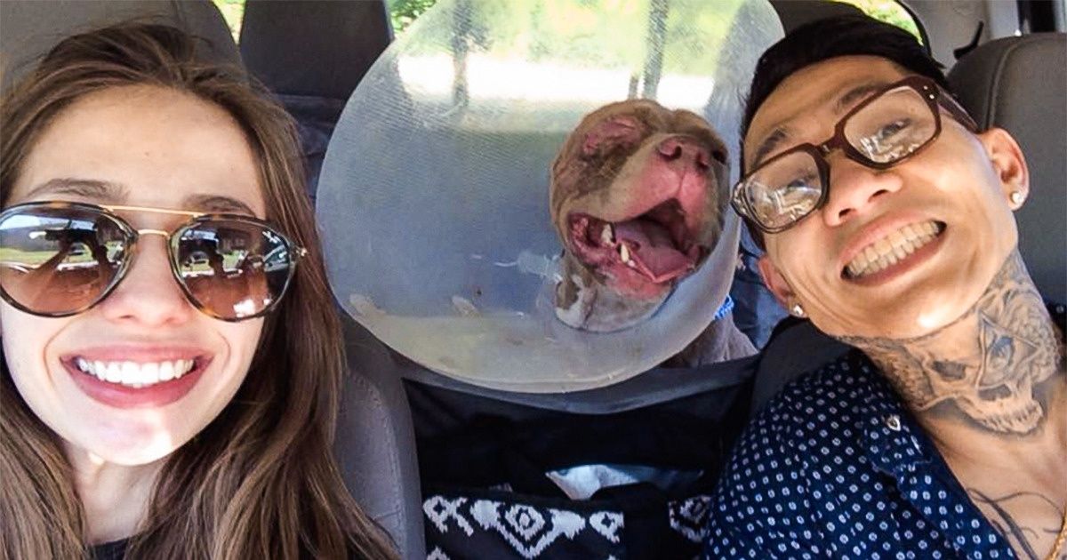 15 Photos of Reunions That Strike a Chord in Our Hearts