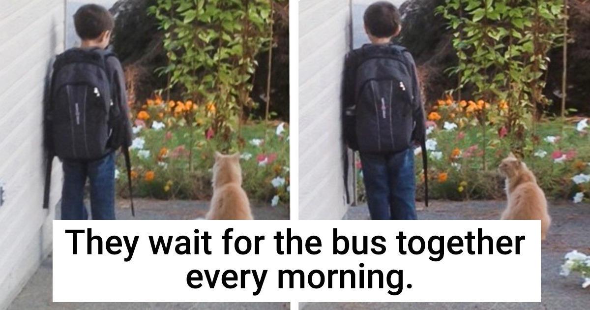 16 Human-Animal Bonds That Can Make You Believe in True Love