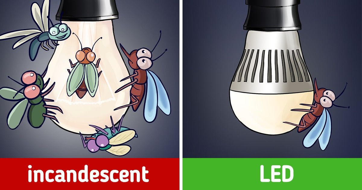 8 Reasons Why Your Home Might Become a Hotbed for Bugs and How to Stop It