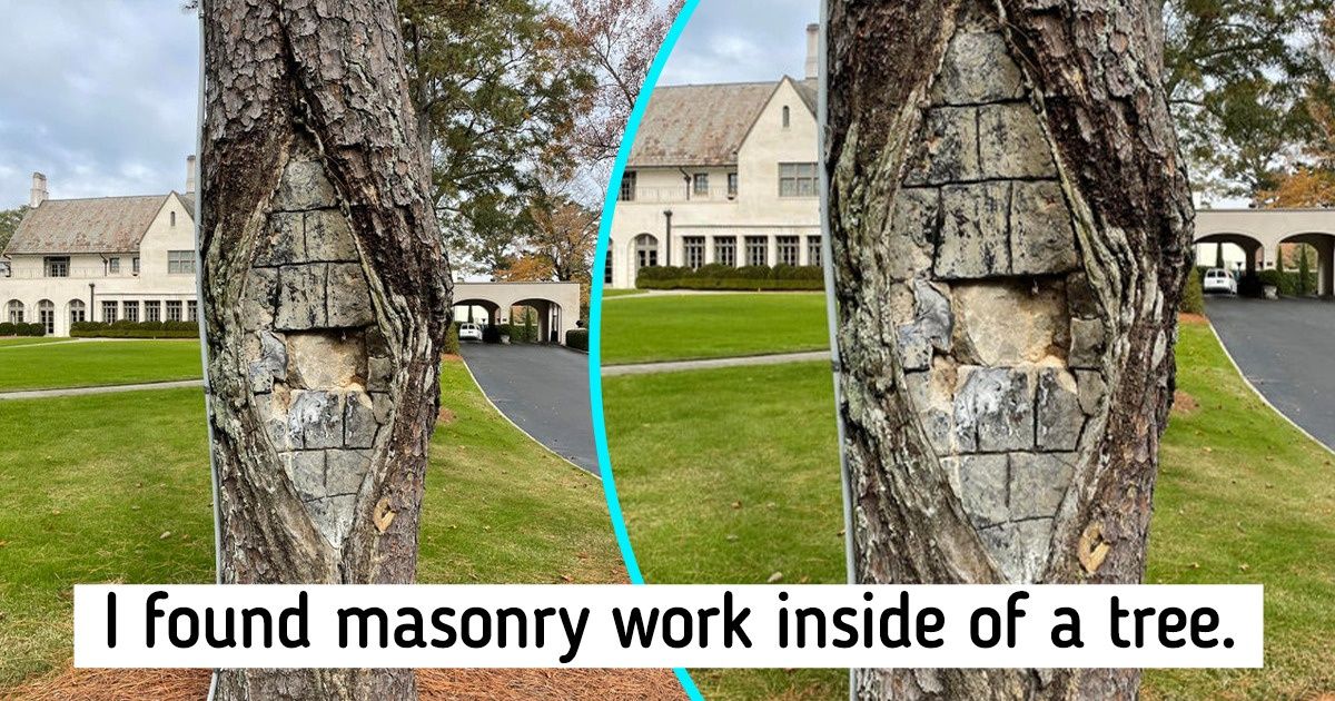 15 People Who Found Something Special in Ordinary Things